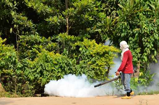 insecticide synthese grossesse