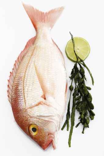 poisson