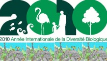 Juillet 2010 - Notre séminaire 