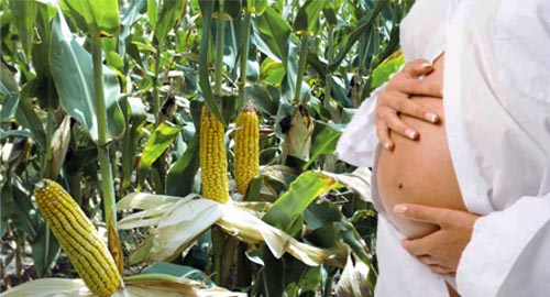 pesticides_et_grossesse